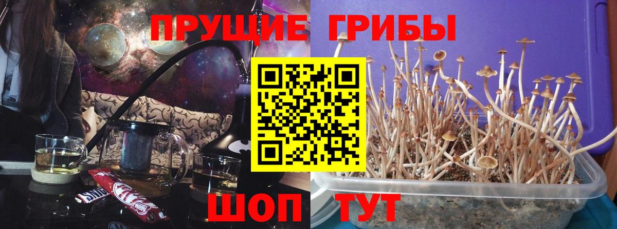 Фрязино  наркотики  Вход с VPN  Галлюциногенные грибы Magic Shrooms 
