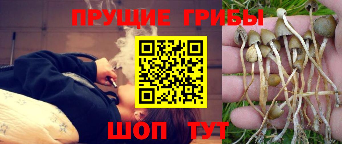 Галлюциногенные грибы мухоморы Фрязино